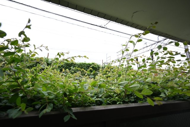 19/23 その他画像