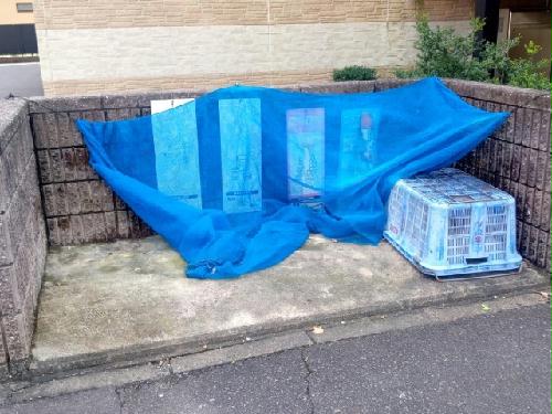 10/22 その他画像