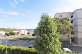 13/17 その他画像