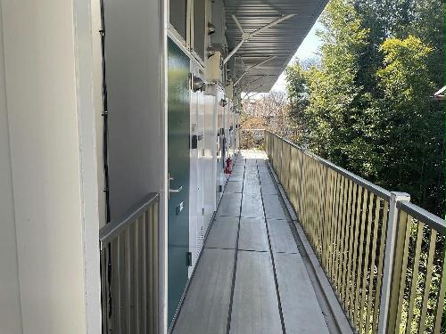 5/11 その他画像