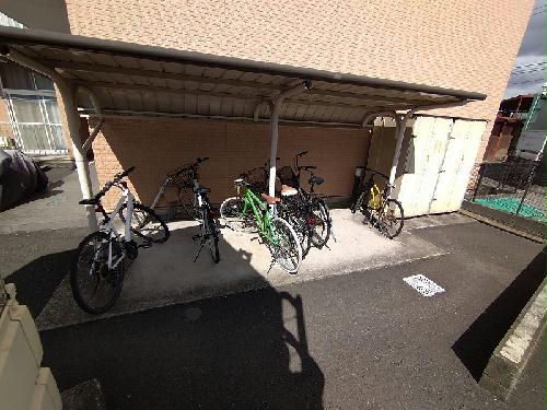 10/17 その他画像