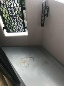 11/21 バルコニー