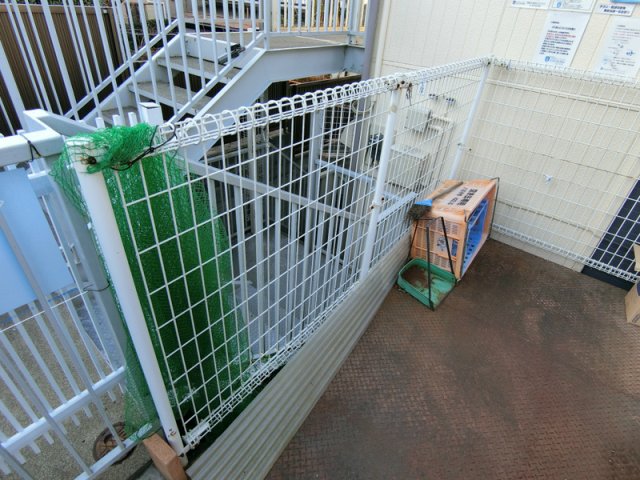 19/30 その他画像