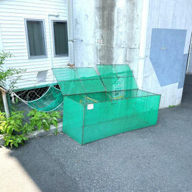 5/11 その他画像