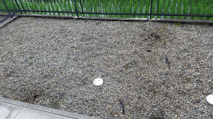 11/16 その他画像