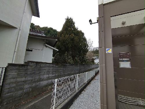 11/22 その他画像