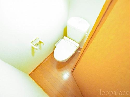 11/15 その他画像