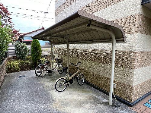 11/14 その他画像