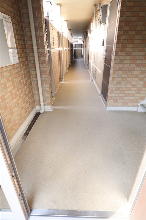 15/29 その他画像