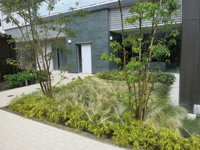 15/16 その他画像