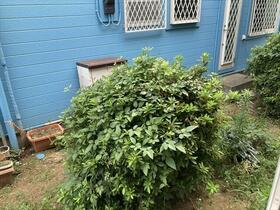 9/18 その他画像