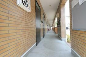 15/17 その他画像