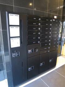 15/16 その他画像