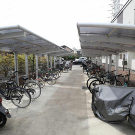 3/13 その他画像