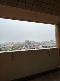 11/16 その他画像