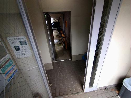 11/15 その他画像