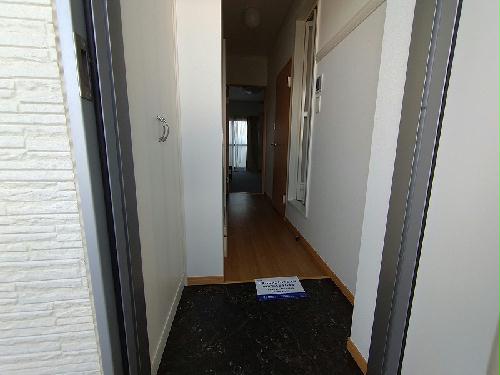 8/22 その他画像