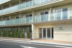 3/15 その他画像