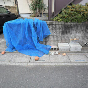 11/16 その他画像