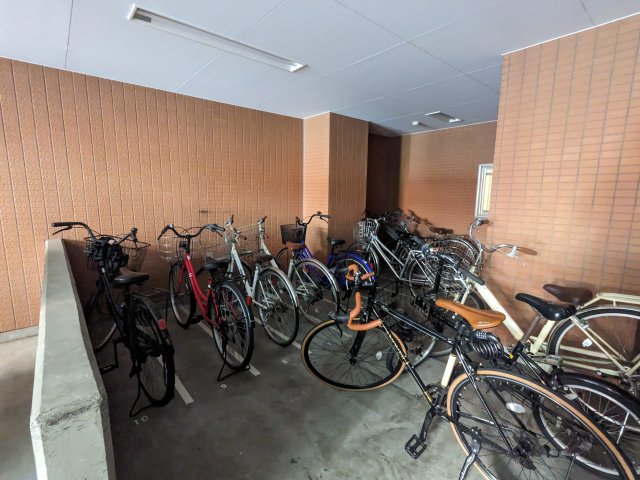 17/24 その他画像