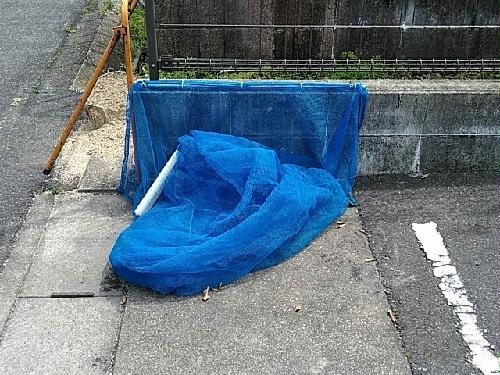 10/14 その他画像