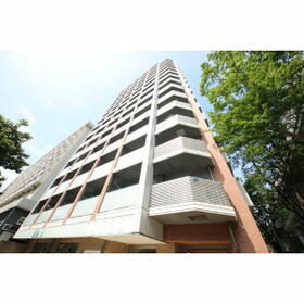 11/11 その他画像