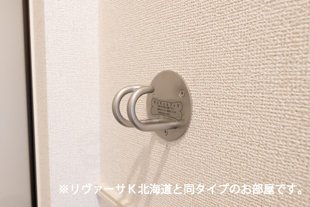 5/24 室内