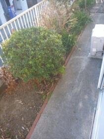 11/12 その他画像