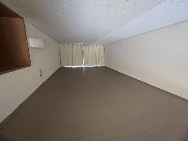 17/17 その他画像