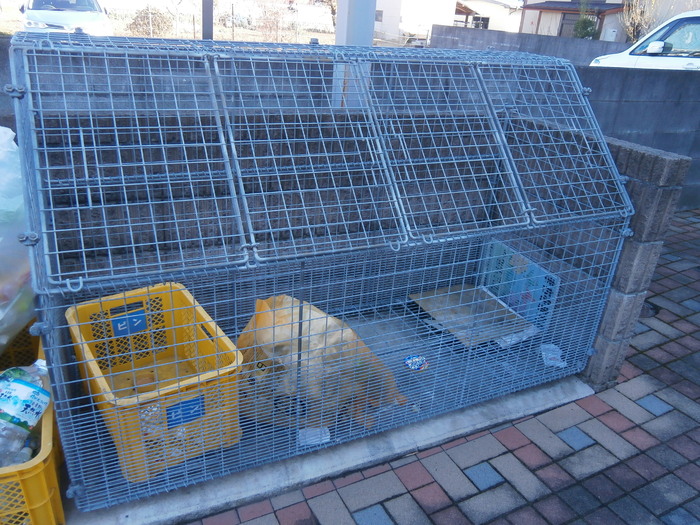 5/14 その他画像