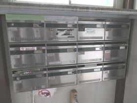 11/11 その他画像