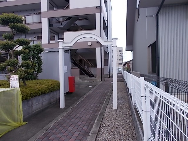 5/17 その他画像