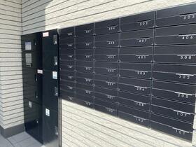 13/13 その他画像