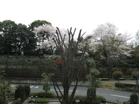 10/24 その他画像