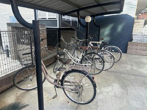 11/14 その他画像