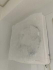 11/13 その他画像