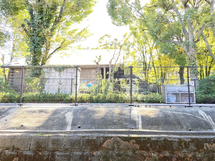 17/18 その他画像