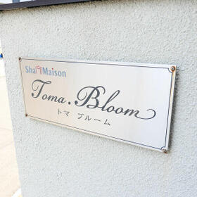 8/16 その他画像