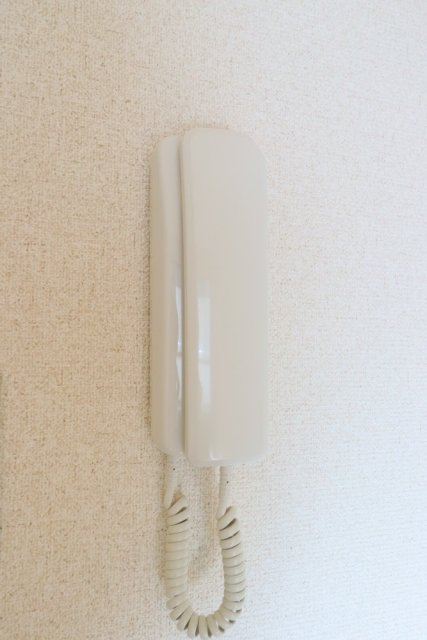 17/20 その他画像