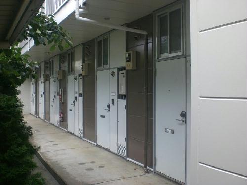 6/13 その他画像