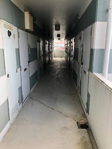 11/15 その他画像