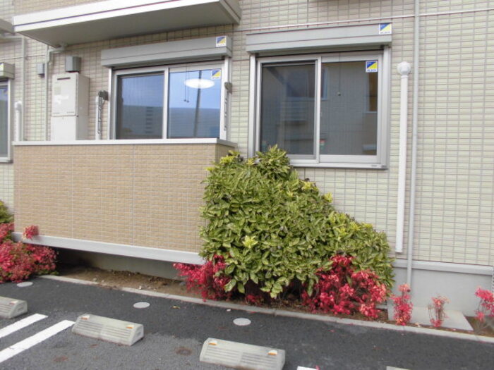 20/30 その他画像