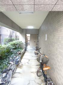 8/17 その他画像