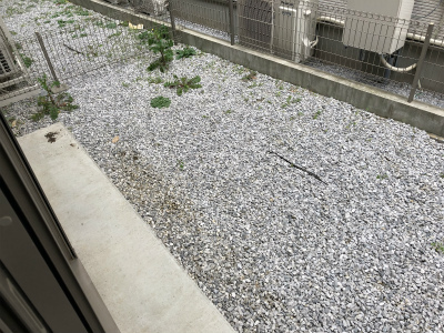 14/14 その他画像