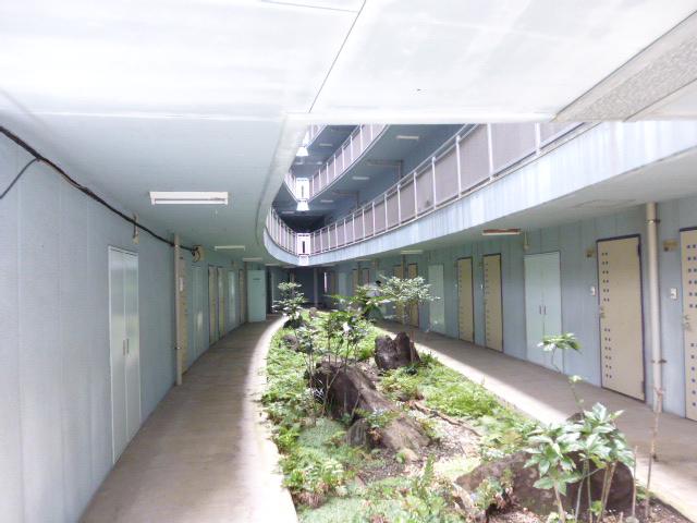 8/17 その他画像