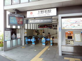 17/17 その他画像