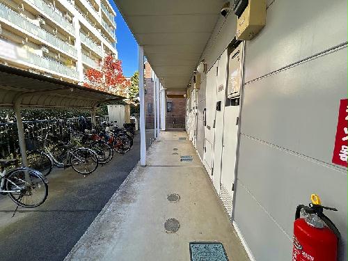 4/11 その他画像