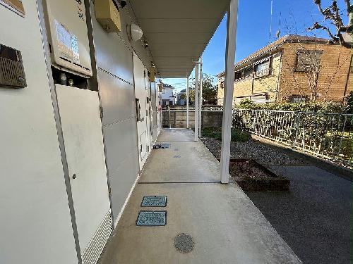 5/11 その他画像