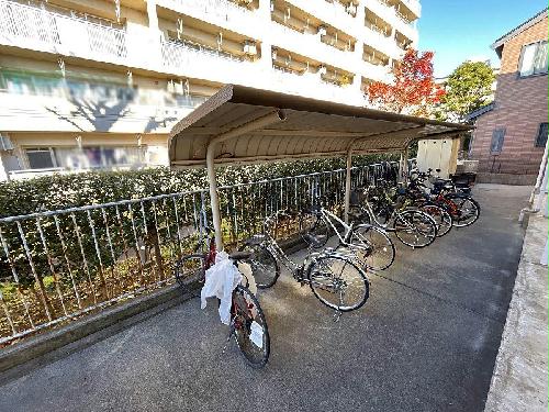 6/11 その他画像