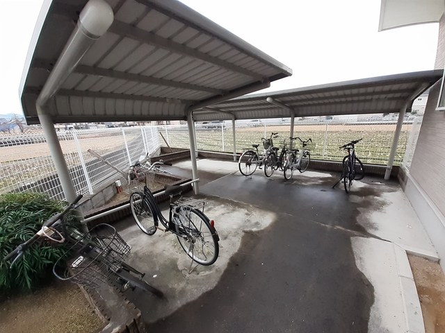 その他共有